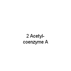2 Acetyl-coenzyme A
